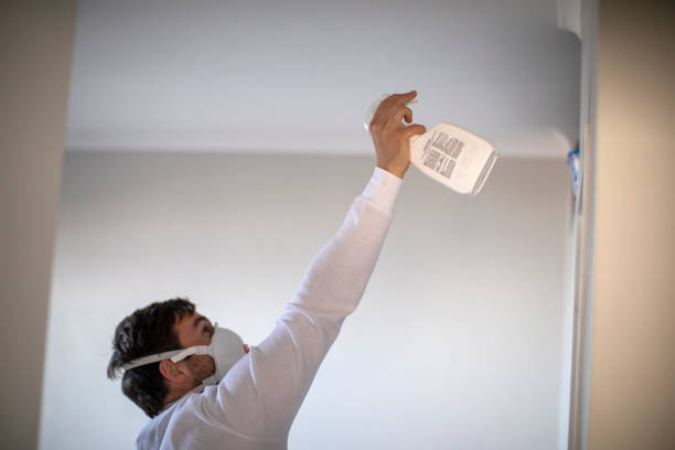 Mold Testing and Removal in Ocean Acres, NJ