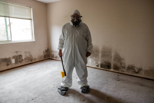Best Professional Mold Removal  in Ocean Acres, NJ