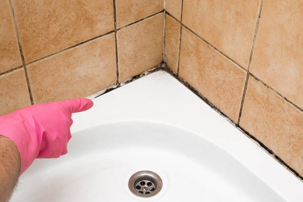 Best Mold Testing  in Ocean Acres, NJ